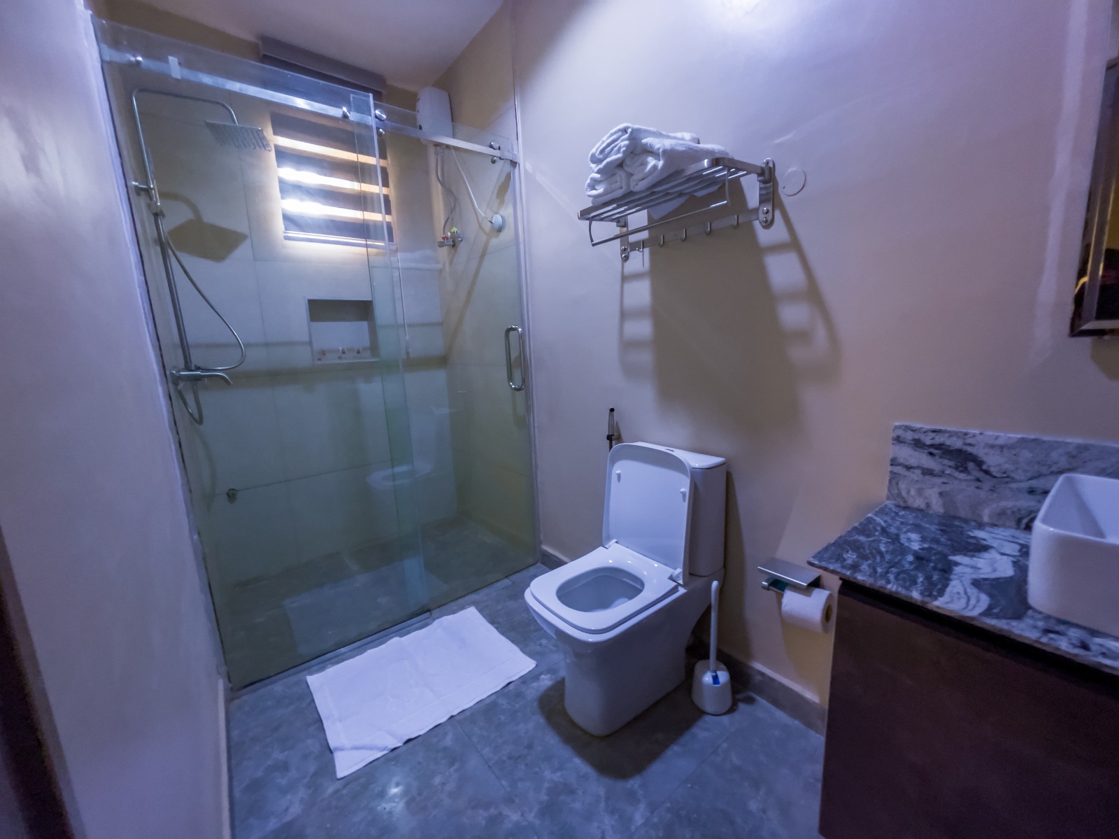 Executive 2-Bedroom Apartment - View 4